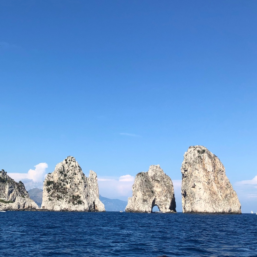 Meet your Posher, Ann